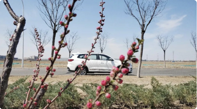 車主風采志|這才是"后浪"們值得入手的SUV！