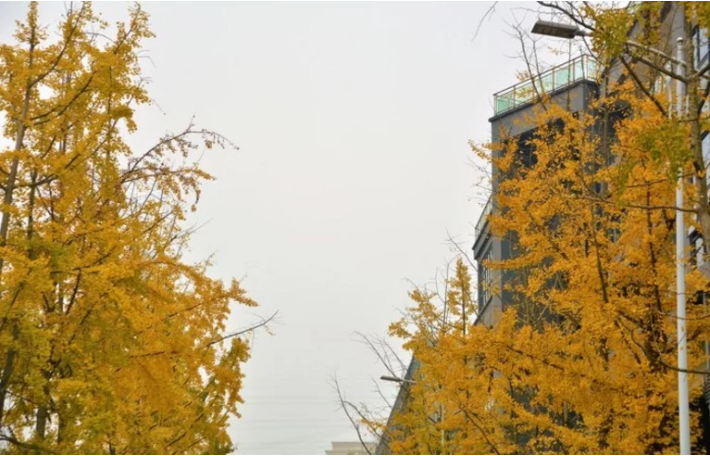 吉利帝豪